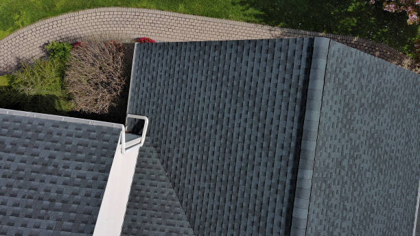 Best Solar Panel Roofing Installation  in Sharon, TN