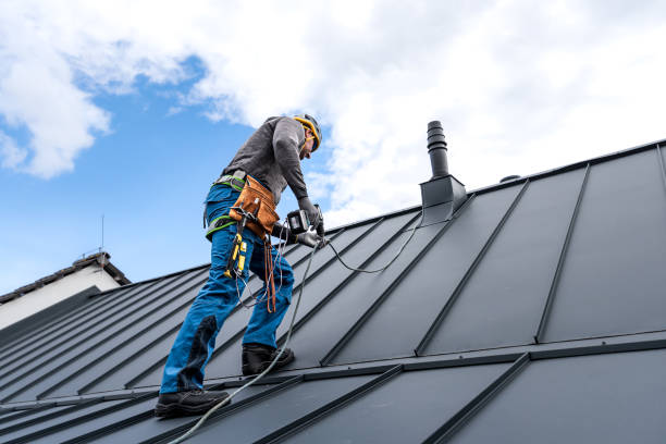 Best Roof Maintenance and Cleaning  in Sharon, TN